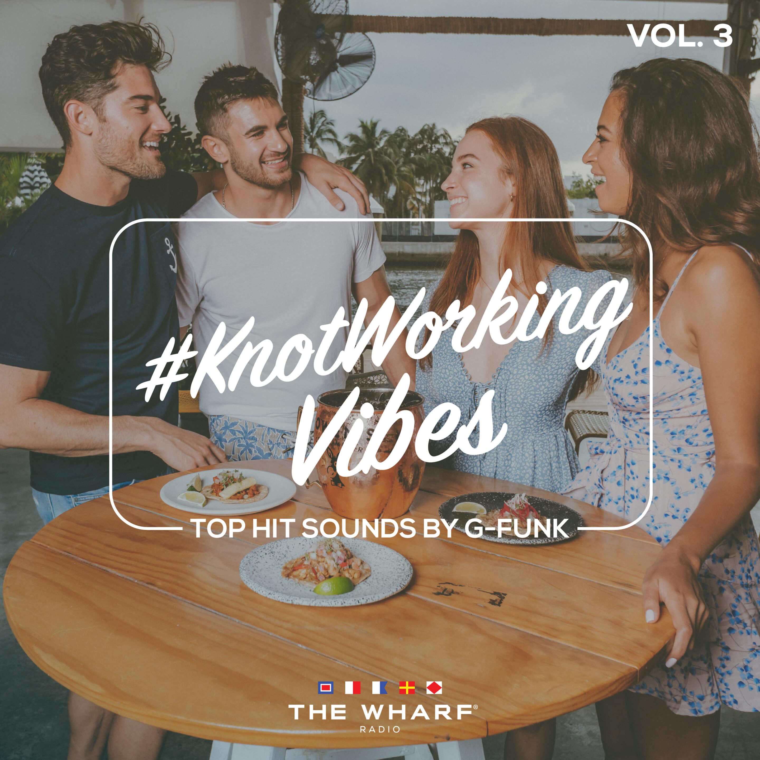 KnotWorkingVibes_Vol3-square