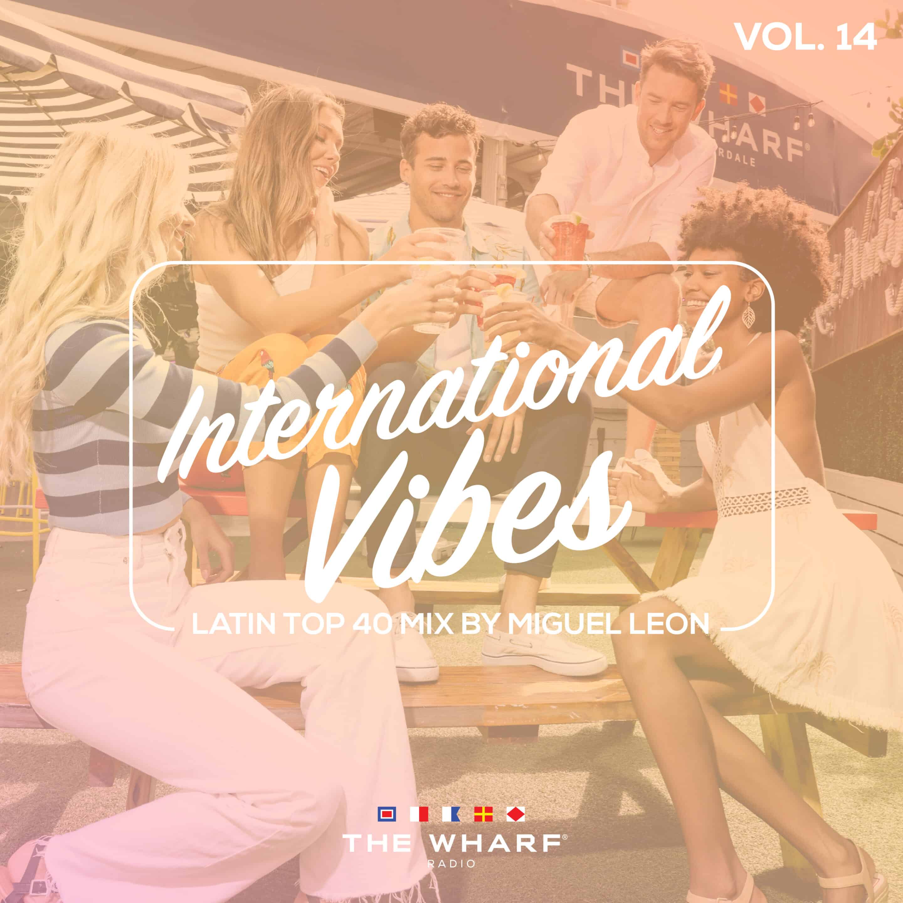 International Vibes, Vol. 14 - Latin Top 40 Mix</p>
<p>